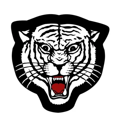 THE FIGHT CAPITAL profile