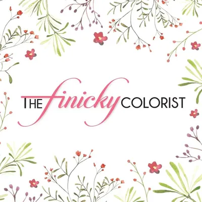 THE finicky COLORIST profile