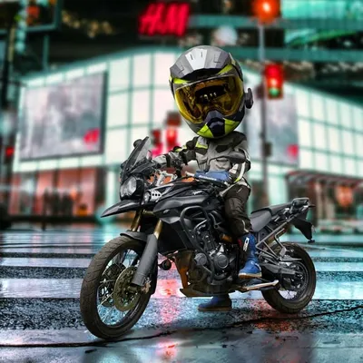 The Foodie Rider ๐ profile