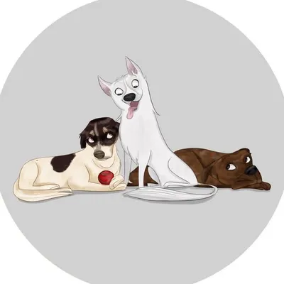Ajax, Brody, & Chief profile