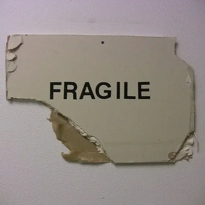 The Fragility Lesson profile
