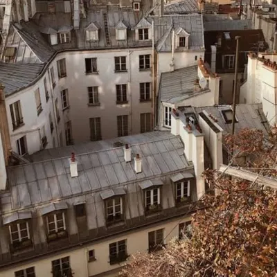french inspiration 🥐 profile