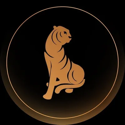 The Game Palacio profile