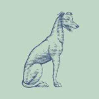 The Grey profile