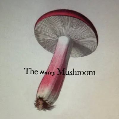 The Hairy Mushroom profile