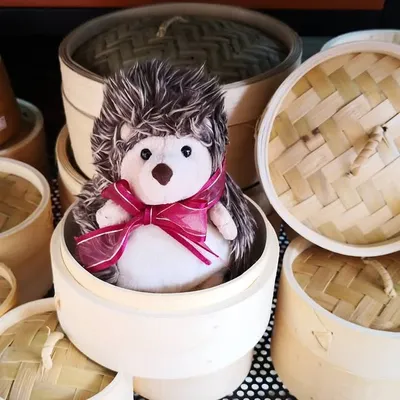 The Hedgehog Knows | Singapore | Food | Travel profile