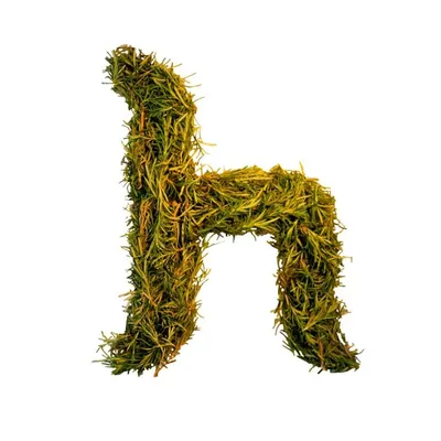 The Horticult profile