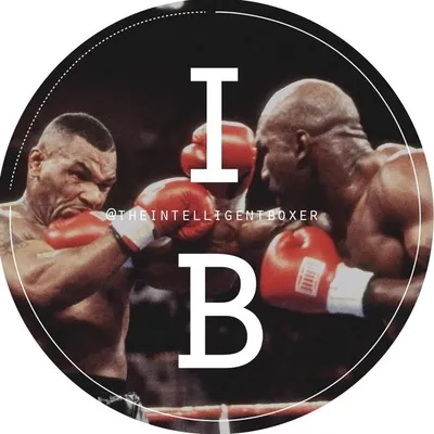 Intelligent Boxer (Boxing) profile