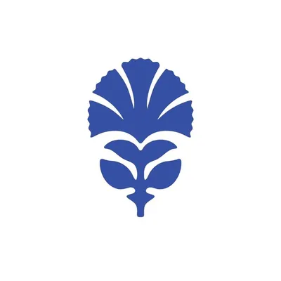 THE JAIPUR STUDIO ®️ profile