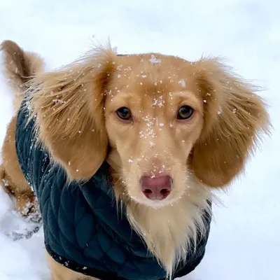 Mateo profile