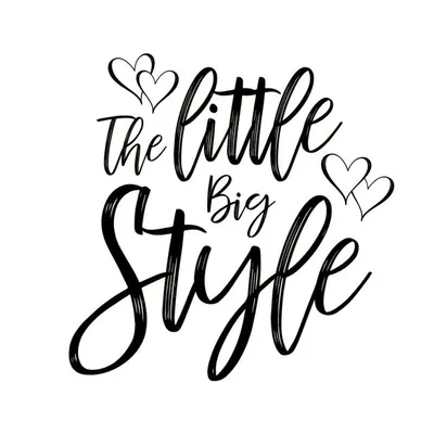 THE LITTLE BIG STYLE profile