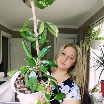 Megan profile