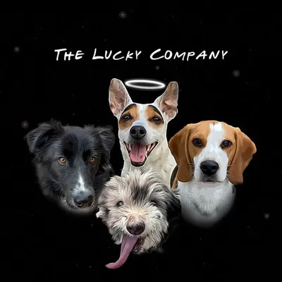theluckycompany profile