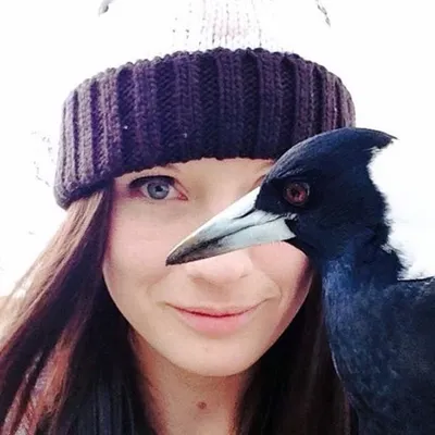 The Magpie Whisperer profile