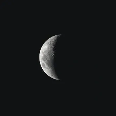 morning_star profile