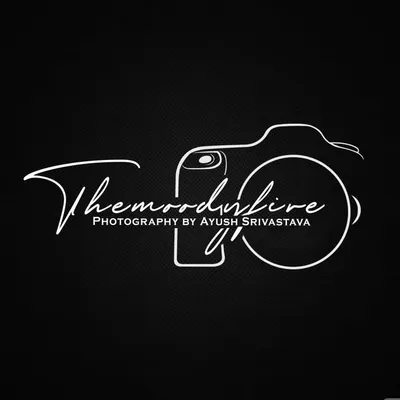 Themoodyfire profile