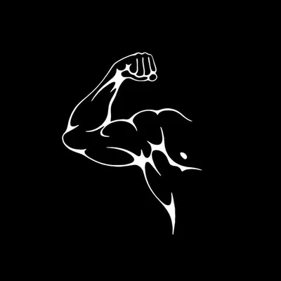 The Mount Muscle profile
