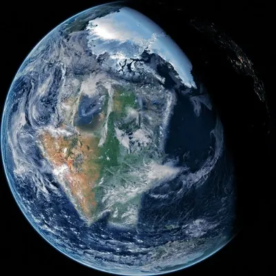 The Neighbourhood profile