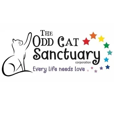 The Odd Cat Sanctuary™️ profile