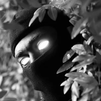 DANJA profile