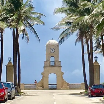 The Palm Beach Life profile