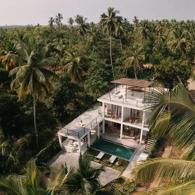The Palm Lanka ๐ด profile