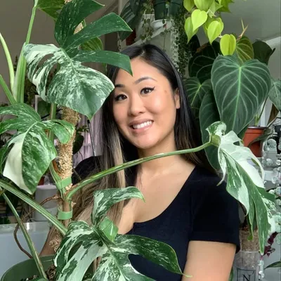 L I S A profile