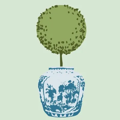 The Potted Boxwood profile