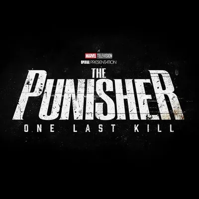 The Punisher profile