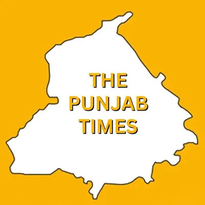 The Punjab Times News profile