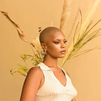 Diamond Coles profile