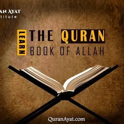 Quran Translation profile