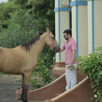 Karan Thakkar profile