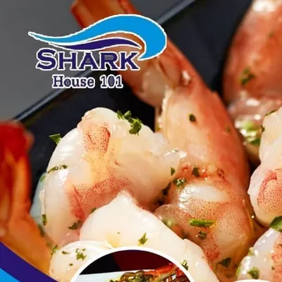 Sharkhouse101 profile