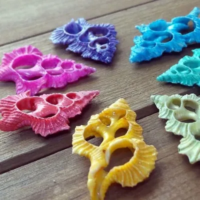 The Shell Connection profile