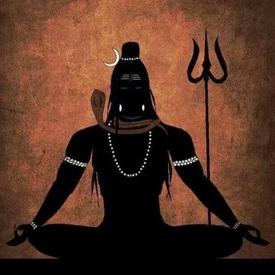 The Shiva Tribe ! profile