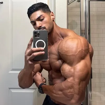 Shredded Nation profile