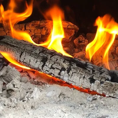 Mike A. - Discipled BBQ Co. profile
