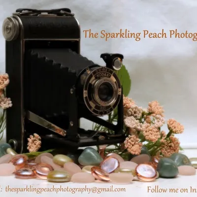 The SparklingPeachPhotography profile