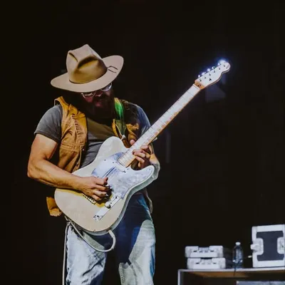 The Steel Woods profile