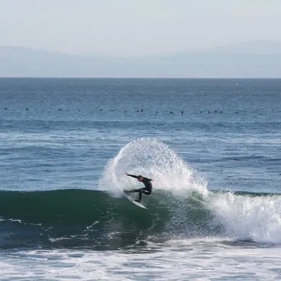 TheSurfingExpert profile