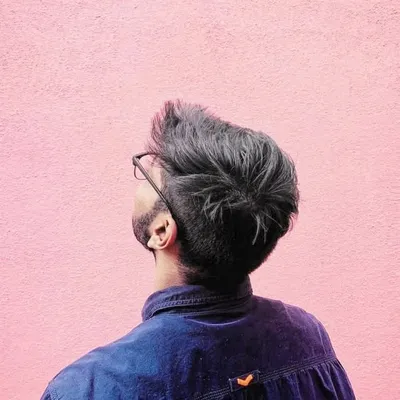 Tarique Ali profile