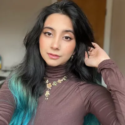 Zareen Sheikh profile