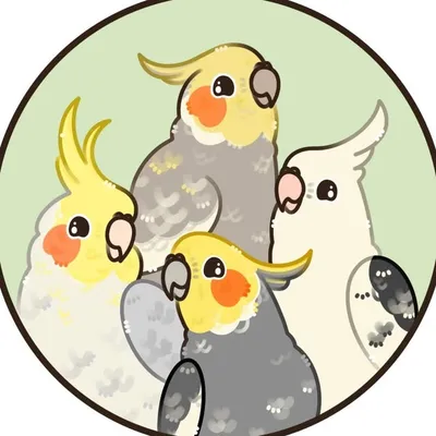 billy, ollie & marv 🐥 profile