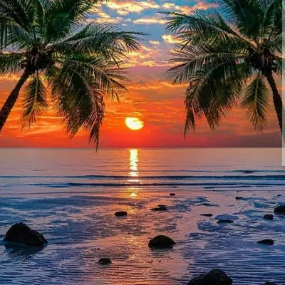 Travel✈ Explore🏖 World🌴 profile