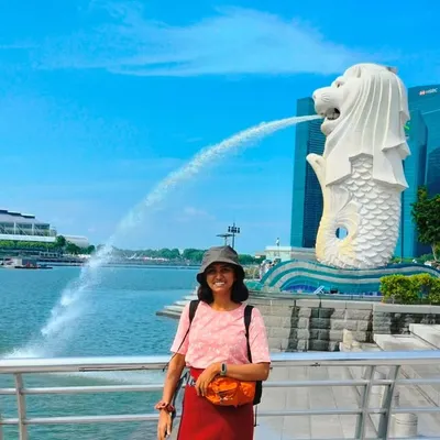 thetraveltomato profile