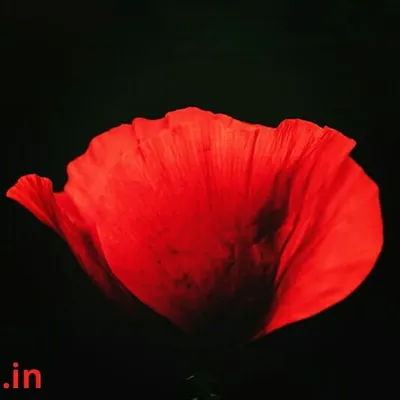 unknown ๐ profile