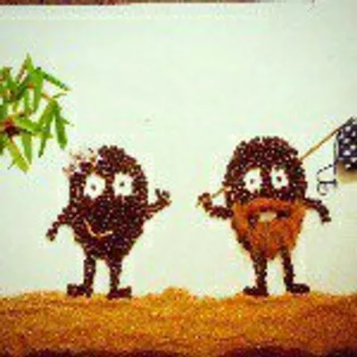 thevagabondbeans profile