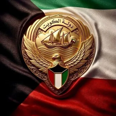 Venecia haroun profile