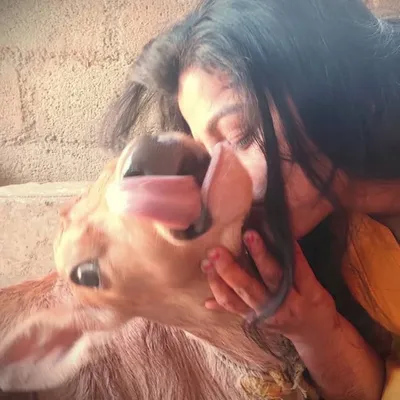 Ragini Gowda 🐷